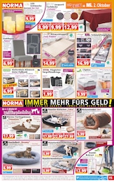 Stuhl Angebot im aktuellen Norma Prospekt auf Seite 15