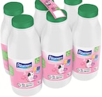 Croissance Nature 3 de 1 à 3 ans - Pâturages - Intermarché Hyper Croissance Nature 3 de 1 à 3 ans - Pâturages à 5,84 € dans le catalogue Intermarché Hyper