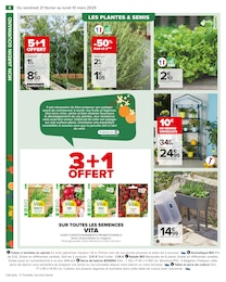 Offre Plant De Tomates dans le catalogue Carrefour du moment à la page 6