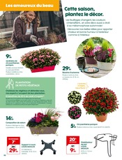 Chrysanthèmes Angebote im Prospekt "Break d’automne !" von Truffaut Chrysanthèmes Angebote im Prospekt "Break d’automne !" von Truffaut auf Seite 2