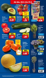 Aktueller Lidl Prospekt mit Hackfleisch, "LIDL LOHNT SICH", Seite 5