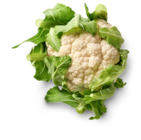 Ital. Fenchel, lose für 2,49 € bei Kaufland im Angebot Ital. Fenchel, lose im aktuellen Kaufland Prospekt