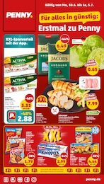 Discounter Prospekt von Penny Haldensleben Penny Prospekt: "Wer günstig will, muss Penny.", 43 Seiten, 30.06.2025 - 06.07.2025