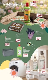 Rossmann Gartenpflege im Prospekt 
