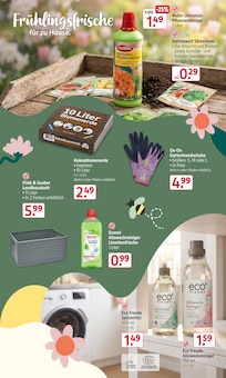 Schuhe im Rossmann Prospekt "Mein Drogeriemarkt" mit 29 Seiten (Hamburg)