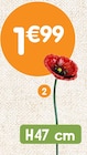 Piquet coquelicot en métal à 1,99 € dans le catalogue B&M