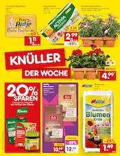 Aktueller Netto Marken-Discount Prospekt mit Kaffee, "Aktuelle Angebote", Seite 2