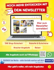 Budweiser im Netto Marken-Discount Prospekt in Halle Aktueller Netto Marken-Discount Prospekt mit Budweiser, "Aktuelle Angebote", Seite 64