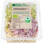 Sprossen von REWE Bio im aktuellen REWE Prospekt