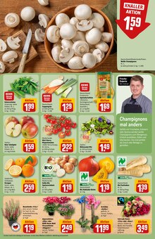Blumen im REWE Prospekt "Dein Markt" mit 38 Seiten (Heidelberg)