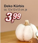 Deko Kürbis Angebote bei KiK Dülmen für 3,99 €