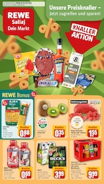 REWE Prospekt für Nürnberg mit 24 Seiten REWE Prospekt "Dein Markt" für Nürnberg, 24 Seiten, 30.06.2025 - 05.07.2025