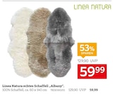 echtes Schaffell „Albany“ von Linea Natura im aktuellen XXXLutz Möbelhäuser Prospekt für 59,99 €