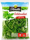 Aktuelles Feldsalat Angebot bei REWE in Pforzheim ab 1,59 €