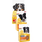 SUR TOUTES LES CROQUETTES POUR CHIENS - CARREFOUR COMPANINO VITALIVE dans le catalogue Carrefour