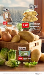 Prix et réduction Oignon dans le prospectus Colruyt en cours Offre Oignon dans le catalogue Colruyt du moment à la page 7