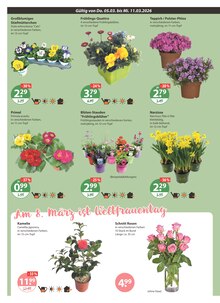 Teppich im V-Markt Prospekt "V-Markt einfach besser einkaufen" mit 22 Seiten (München)