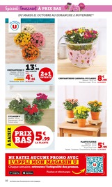 Chrysanthèmes Angebote im Prospekt "U Express" von U Express Chrysanthèmes Angebote im Prospekt "U Express" von U Express auf Seite 10