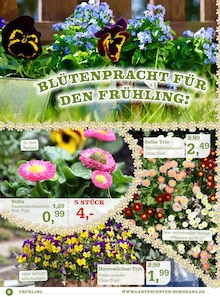 Pfanne im Garten-Center Nordharz GmbH & Co. KG Prospekt "ES DUFTET NACH FRÜHLING!" mit 12 Seiten (Hannover)