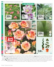 D'autres offres dans le catalogue "PROFITER ENFIN DE SON JARDIN" de Carrefour à la page 14