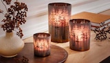 Aktuelles Windlicht mit Lasercut Angebot bei Zurbrüggen in Recklinghausen ab 7,99 €