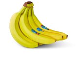 Aktuelles Bananen Angebot bei Penny-Markt in Hamm ab 1,99 €