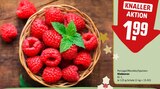 Himbeeren im REWE Prospekt Himbeeren von im aktuellen REWE Prospekt für 1,99 €