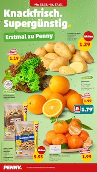 Kartoffeln im Penny Prospekt "Wer günstig will, muss Penny." mit 42 Seiten (Bergisch Gladbach)