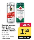 Captain Morgan Rum & Cola oder Tanqueray Dry Gin & Tonic im aktuellen Netto mit dem Scottie Prospekt