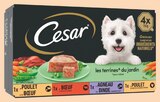 Intermarché Saint-Michel-l'Écluse-et-Léparon - Promo Barquettes chien les terrines du jardin Promo Barquettes chien les terrines du jardin à 2,41 € dans le catalogue Intermarché à Saint-Michel-l'Écluse-et-Léparon