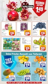 Ähnliche Terrarium Angebote im Prospekt "Dein Markt" von REWE in Siegen Ähnliche Angebote wie Terrarium im Prospekt "Dein Markt" auf Seite 8 von REWE in Siegen