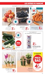 Prospectus U Express "U Express" en cours à Vénissieux, Page 13 Catalogue U Express en cours à Vénissieux, "U Express", Page 13