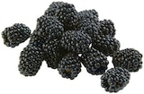 Brombeeren im REWE Prospekt Brombeeren von REWE Beste Wahl im aktuellen REWE Prospekt für 1,49 €