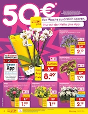 Ähnliche Weihnachtsstern Angebote im Prospekt "Aktuelle Angebote" von Netto Marken-Discount in Greifswald Ähnliche Angebote wie Weihnachtsstern im Prospekt "Aktuelle Angebote" auf Seite 6 von Netto Marken-Discount in Greifswald