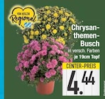 Chrysanthemen-Busch  im aktuellen EDEKA Prospekt für 4,44 €