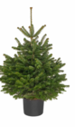 Angebot im Hagebaumarkt Ostrhauderfehn Prospekt Hagebaumarkt Ostrhauderfehn Prospekt mit im Angebot fĂŒr 12,99 âŹ