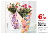 Mixte plantes fleuries en promo chez Super U Ajaccio à 6,99 €