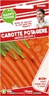 SEMENCES POTAGÈRES - HAPPY POUSSE dans le catalogue Netto
