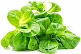 EDEKA Kröppen - Feldsalat Angebot im Prospekt Feldsalat bei EDEKA im Kröppen Prospekt für 1,49 €