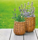 Pflanz Weidenkorb für 8,99 € bei Netto mit dem Scottie im Angebot Pflanz Weidenkorb im aktuellen Netto mit dem Scottie Prospekt