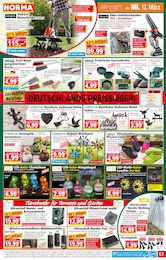 Kiste Angebot im aktuellen Norma Prospekt auf Seite 13