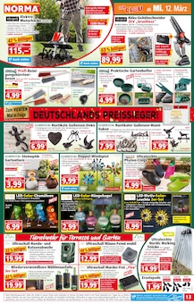 Clogs Angebot im aktuellen Norma Prospekt auf Seite 13