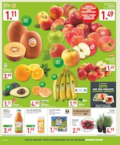 Aktueller Marktkauf Prospekt mit Gemüse, "Aktuelle Angebote", Seite 6
