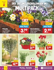 Aktueller Netto Marken-Discount Prospekt mit Blumen, "Aktuelle Angebote", Seite 6