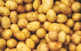 Promo Pommes de terre de consommation XXL à 6,99 € dans le catalogue Norma à Rehainviller