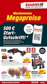 Aktueller toom Baumarkt Baumärkte Prospekt in Werl und Umgebung, "Respekt, wer's selber macht." mit 12 Seiten, 13.09.2025 - 19.09.2025