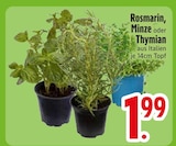 Rosmarin  im aktuellen EDEKA Prospekt für 1,99 €