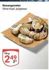 Aktuelle Garnele Angebote bei GLOBUS in Duisburg Aktuelles Riesengarnelen Angebot bei GLOBUS in Duisburg ab 2,49 €