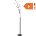 POCOline Stehleuchte im aktuellen POCO Prospekt