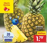 Ananas Angebote bei Netto Marken-Discount Osnabrück für 1,79 €